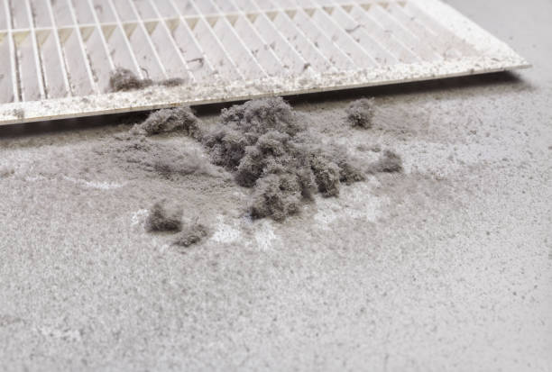 Best HVAC Maintenance and Cleaning  in Scow Mills, MO
